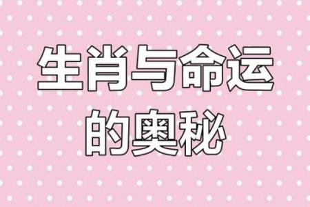 根据属相分析，哪些女孩命运较好？揭示女孩命运的奥秘！