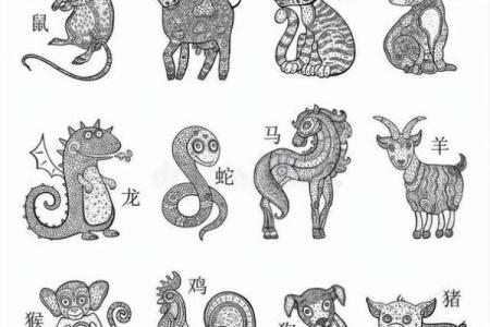 揭秘农历十二月老鼠的命运与性格：从生肖看人生