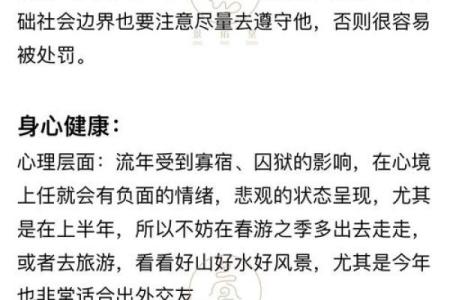 属兔龙除雾命解析：揭示兔与龙的神秘缘分与命运之道