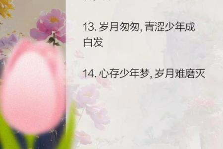 七旬夫妻相依为命，岁月流转中的爱情故事