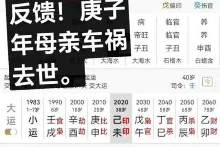 申子辰命坐山向，如何选定最佳坐标提升运势？