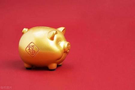 1970年属猪人命理解析：幸福与挑战并存的命运之旅