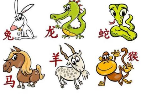 生肖公主命：哪些动物代表这份优雅与魅力？