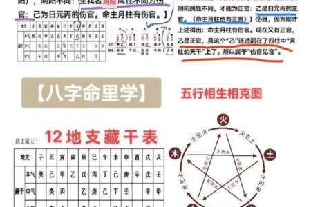 深入解析：八字女命中的伤官见财现象及其影响
