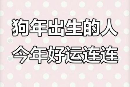 2018年属狗人的命运解析：如何把握机会与挑战