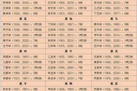 男命最聪明的八字：解密命理中的智慧之源