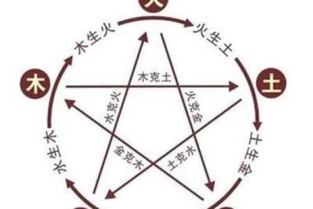 属土命的人适合的职业选择与发展之路