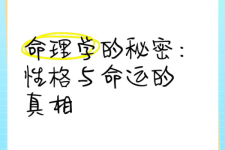 女人算命：了解命运背后的秘密与智慧