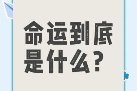 命运与选择：为何有人觉得“什么都不能干”？