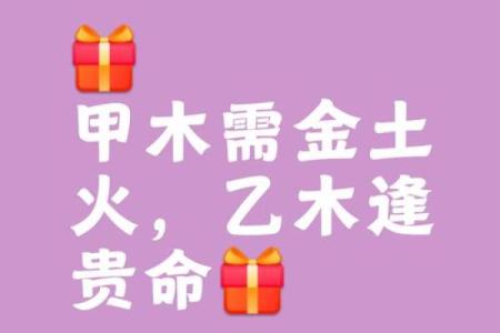 木命人的最佳搭配：与哪些命人相得益彰？