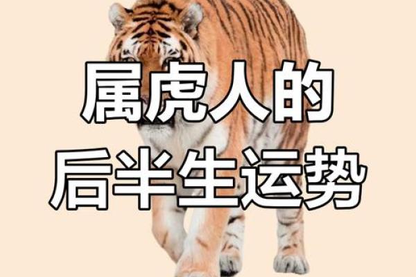 属虎49五行命理解析:探寻虎年的命运之道 属虎49五行命理解析:探寻虎年的命运之道