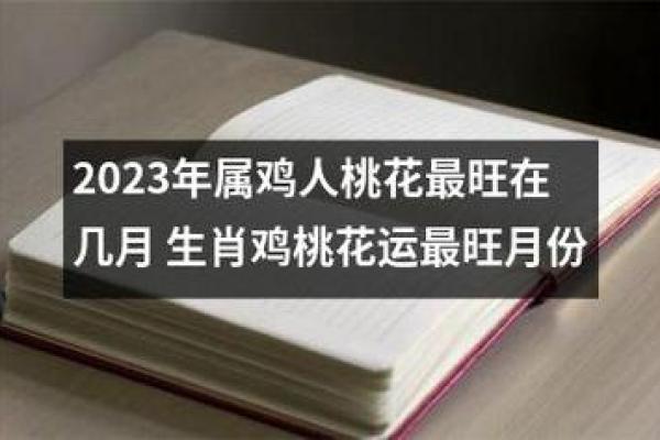 属鸡人2023年11月23日的命运分析与建议 属鸡人2023年11月23日的命运分析与建议