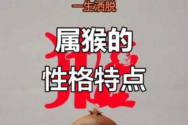 属猴男的命理与婚姻：机灵与爱情的交织之道