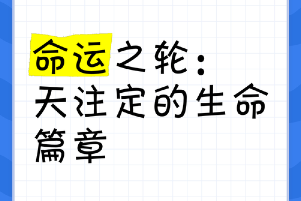 命运之轮：探索成语中的命运智慧与人生哲理