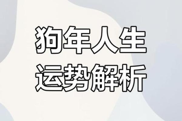 属狗人水命的生意选择：适合做哪些行业？