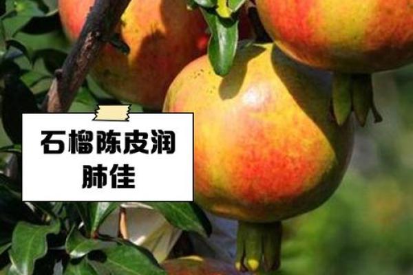 石榴木命者的聚财秘诀:如何通过名字改变财运 石榴木命者的聚财秘诀:如何通过名字改变财运