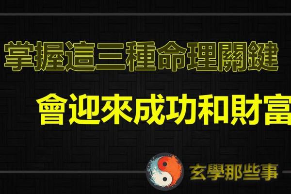命运之交：如何根据五行命理选择理想伴侣？