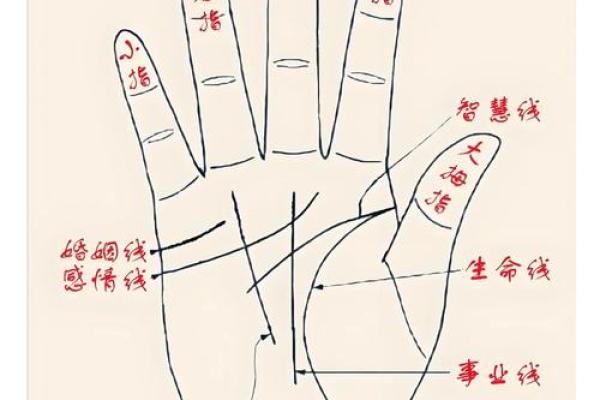 手掌大拇指端凹陷的命运解析：深藏的秘密与启示