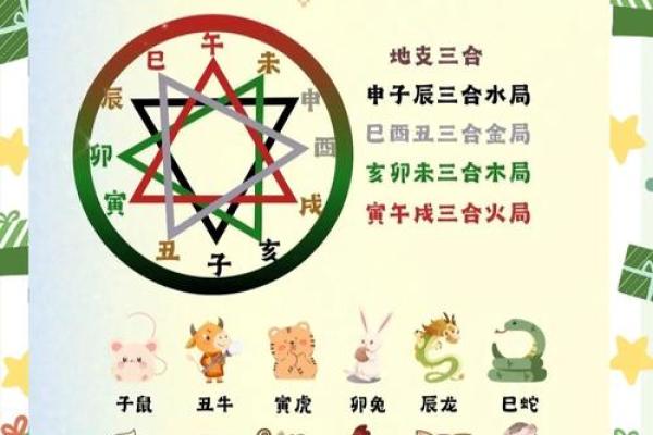 命理探索：十二地支与五行的神秘关联