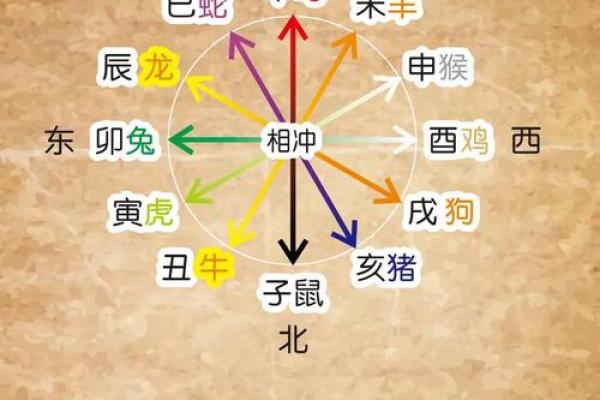 命理探索：十二地支与五行的神秘关联