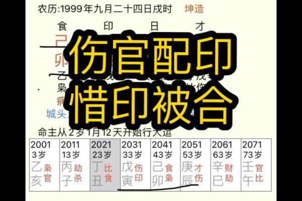 女命地支食神合印的深刻解析与生活启示 女命地支食神合印的深刻解析与生活启示