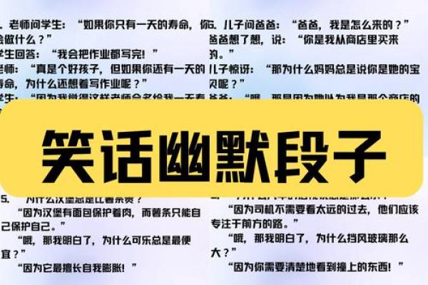 猫总有九条命的秘密：你了解多少？