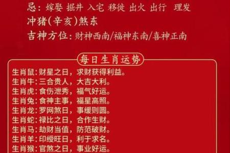 农历五月出生的女鼠命运解析：掌握命理，开启人生新篇章