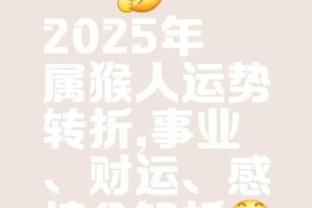 属猴人在猪年运势分析：找到自己的命运之道
