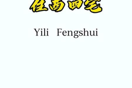 男孩西四命的神秘与启示：探寻命运背后的深意