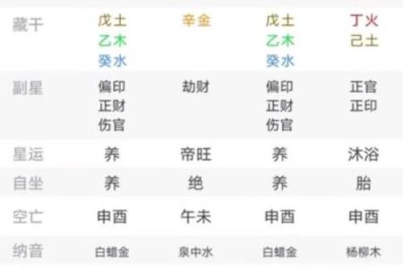 男性命理中的正官、比肩与食神的深刻解析与应用