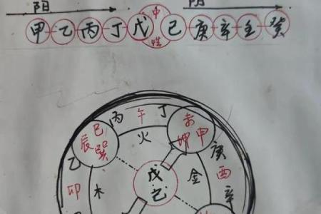 如何通过命理分析五行缺失，找到人生平衡之道