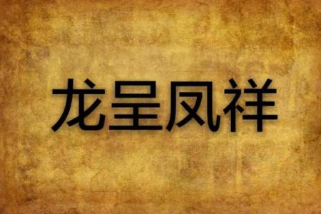 龙凤呈祥，命途多舛：探寻人生的哲学之美