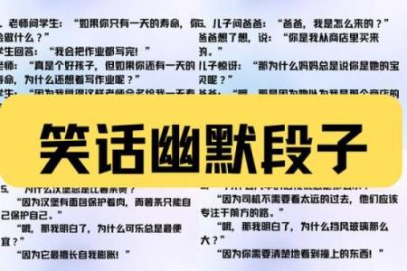 猫总有九条命的秘密：你了解多少？