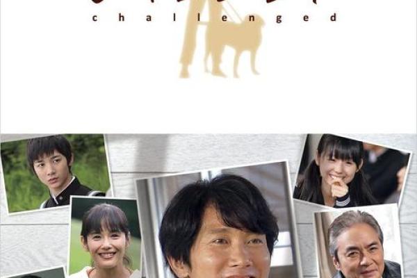 日本综艺《极限挑战》：挑战极限，展现真实与勇气的舞台