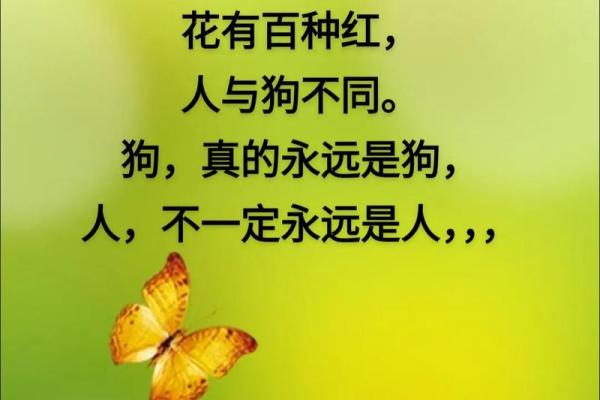 视狗如命：为什么狗是人类最忠实的伙伴