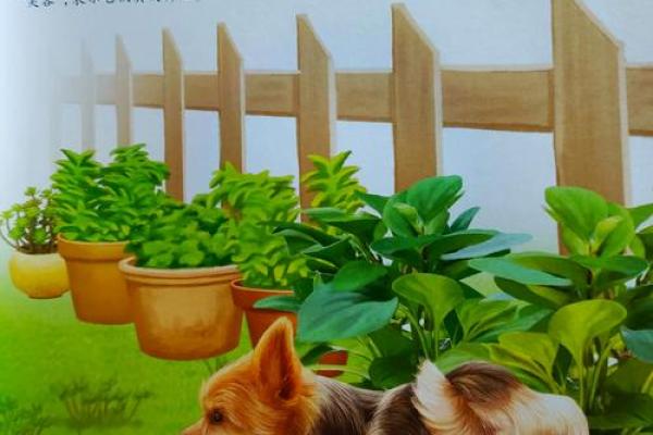 视狗如命：为什么狗是人类最忠实的伙伴