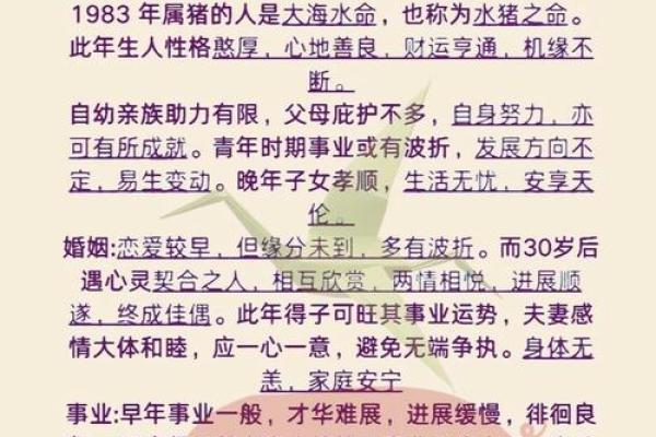 2018年五行属什么命？探寻你的命运密码与生活指导