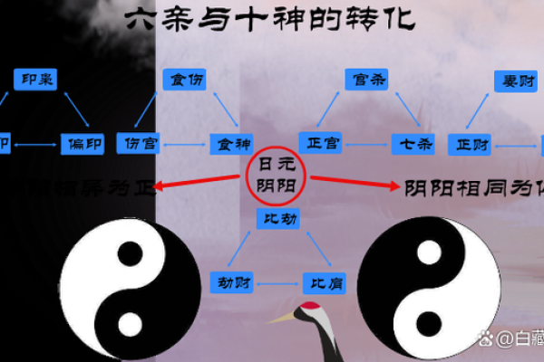 女命印枭解密：六亲关系背后的深刻意义与启示