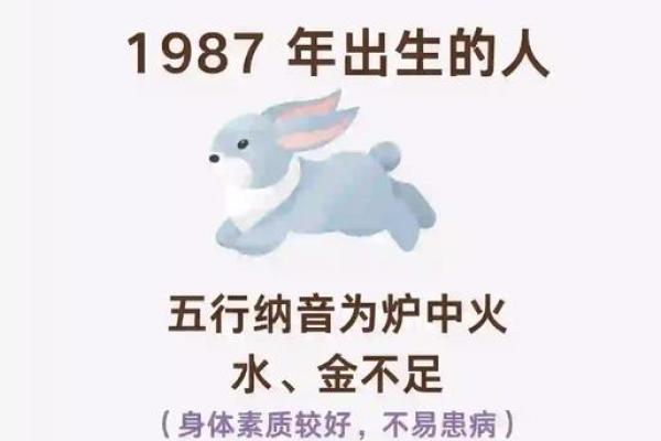 属猴井泉水命五行缺什么?探寻命理奥秘与生活平衡 属猴井泉水命五行缺什么?探寻命理奥秘与生活平衡