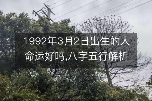 壬寅年命运解析:了解你的命格与缺失,掌握人生机遇! 壬寅年命运解析:了解你的命格与缺失,掌握人生机遇!