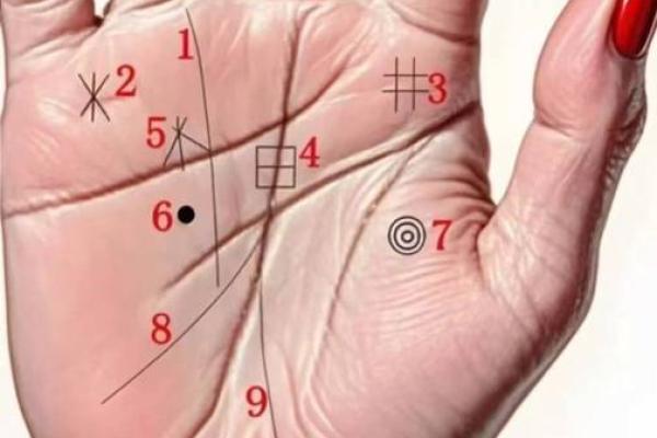 发现你的富贵命：揭示手相中的女性财富密码