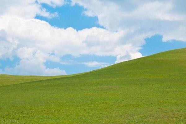 男命遇天喜星的意义与解读：如何把握命运的转机