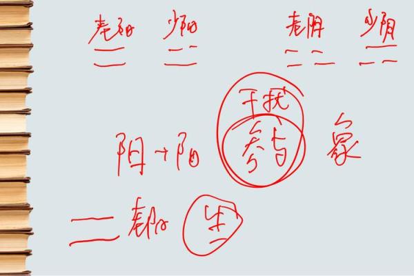 属阴的八字是什么命?探秘阴命的奥秘与命运之路! 属阴的八字是什么命?探秘阴命的奥秘与命运之路!