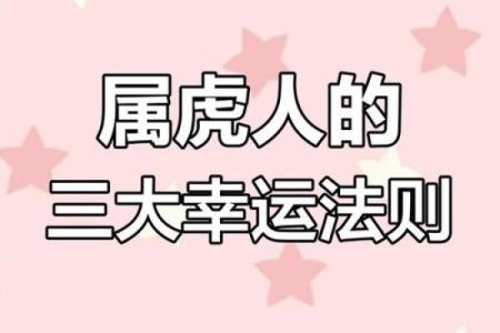属虎九月出生的人命运解析：勇气与智慧的结合