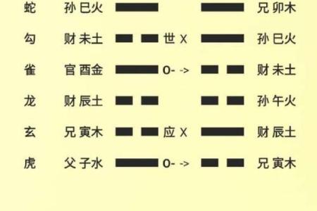 女命八字中官星稀缺的深层次解析与应对之道