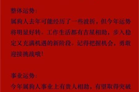 属狗七月出生的命运解析：智慧与温暖的结合