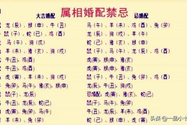 农历二月老虎命的命理解析：如何弥补命中缺失的元素？