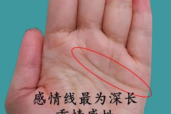 男人生第二个孩子的命运解析：财运、事业与家庭的微妙平衡