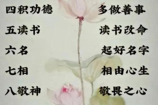 命运与运势的奥秘：解读一命二运的深层意义