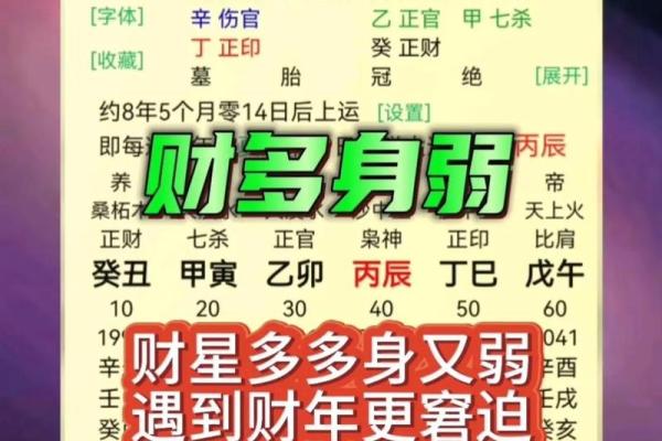 男命丁巳的对象特征:热情、独立与智慧的完美结合 男命丁巳的对象特征:热情、独立与智慧的完美结合